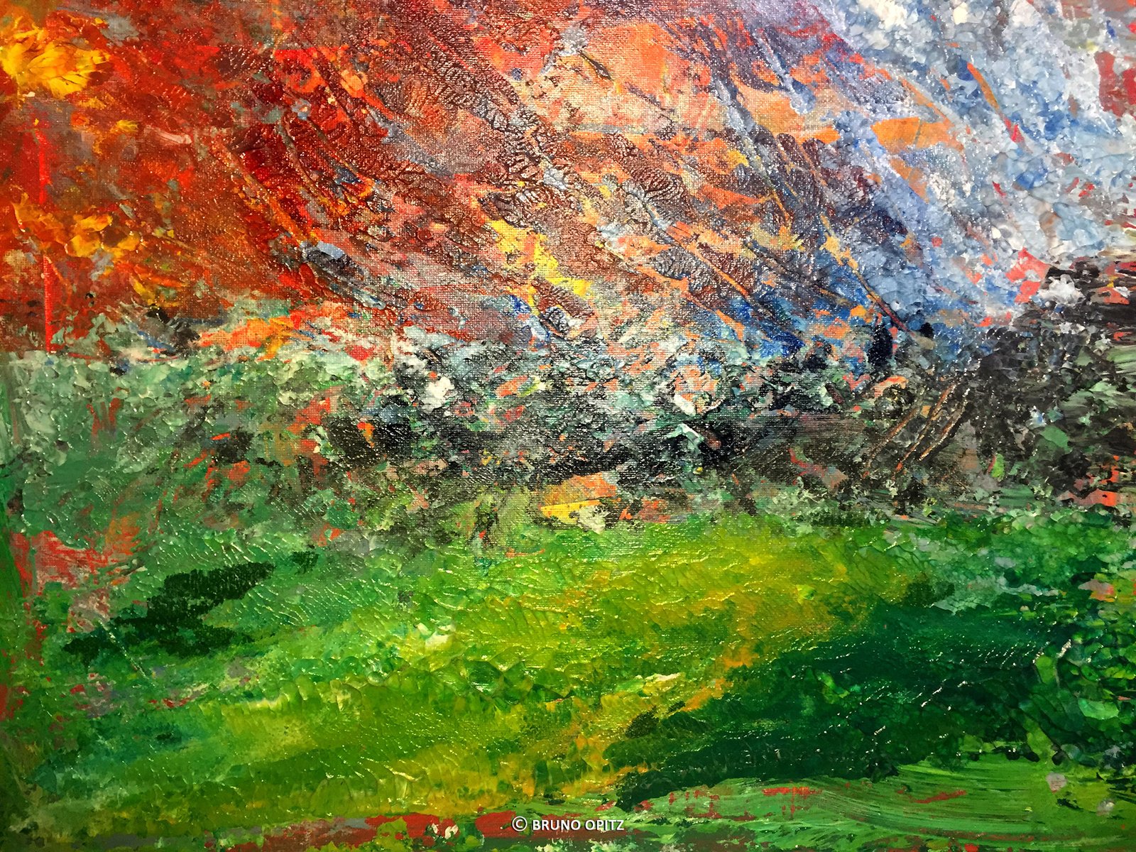 Bruno Opitz - Prairie